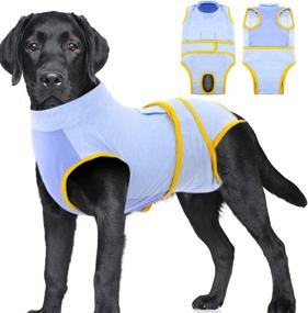 img 4 attached to IDOMIK Pet Recovery Suit: идеальное решение для послеоперационного ухода за собаками и кошками