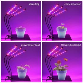 img 3 attached to Enhance Your Indoor Plant Growth With 36W LED Grow Plant Lights: Auto On/Off, 4/8/12H Timer, 8 Dimming Levels, And 3-Head 360 Degree Adjustable Gooseneck Design