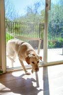 screen pet door conversion kit: ideal for doggie door on screen door, patio screen, sliding glass door screen, or porch screens - easily convert your screen into a cat or doggie door logo