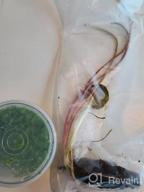 картинка 1 прикреплена к отзыву Hardy Louisiana Pink Water Lily Tuber For Freshwater Aquatic Environments - Live Nymphaea Fabiola Plant Ideal For Aquariums And Fish Ponds By Greenpro от Kevin Huot