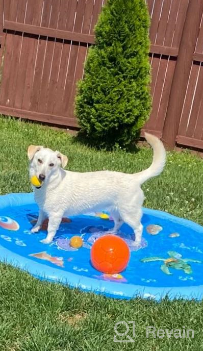 img 1 attached to Fun-Filled Outdoor Playtime With QPAU Splash Pad: The Perfect 68" Sprinkler Pool For Kids, Dogs And Family review by Daniel Roe