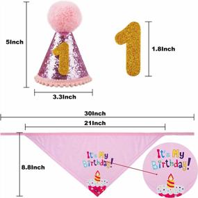 img 1 attached to Make Your Dog'S Birthday Special With GAGILAND Birthday Party Set - Dog Bandana, Hat, Banner & More In Pink With Balloon!