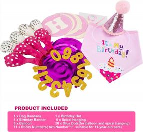 img 2 attached to Make Your Dog'S Birthday Special With GAGILAND Birthday Party Set - Dog Bandana, Hat, Banner & More In Pink With Balloon!