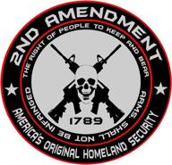 2x 2nd amendment americas original логотип