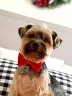 img 1 attached to 🎀 Kids Velvet Bow Tie by Spring Notion for Boys review by Relap Villa