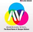 american vinyl vintage orlando florida logo