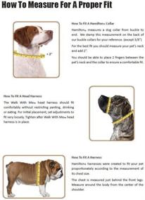 img 2 attached to Hamilton Double Deluxe Collar 20 Inch Dogs best for Training & Behavior Aids