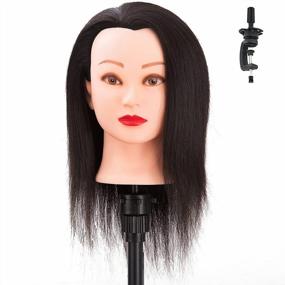 img 4 attached to HAIREALM Human Hair Cosmetology Mannequin Head With Table Clamp Stand - Ideal For Hair Styling Training And Practice - 18 Inch Premium Quality HA0212P