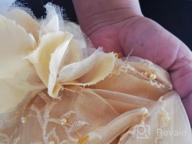 img 1 attached to Stylish and Sparkling Toddler Birthday Petticoat with Embroidery - Perfect for Girls' Dresses review by Rance Riley