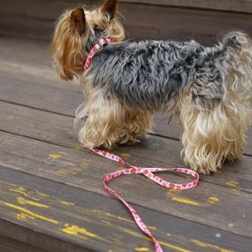 img 3 attached to 🐾 Stylish Azuza Dog Collar and Leash Set with Cute Fruit Patterns - Ideal for Small, Medium, and Large Dogs