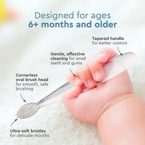 img 1 attached to Детская зубная щетка RADIUS Pure Brush Ультрамягкая щетка, не содержащая BPA и одобренная ADA, предназначена для деликатных зубов и десен для детей от месяца и старше, прозрачная, (упаковка из 6)