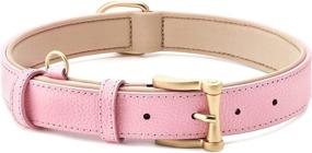 img 4 attached to Premium ThanksPaw Waterproof Leather Dog Collar - Soft Padded Collar for Small, 🐾 Medium & Large Dogs with Alloy Buckle - Heavy Duty & Classic Pet Collar
