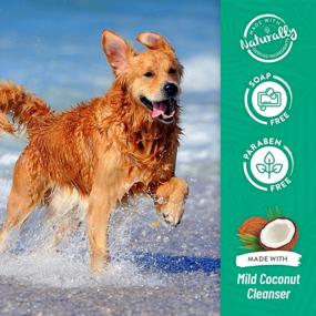 img 3 attached to TropiClean Aloe & Coconut Deodorizing Shampoo For Pets - Eliminates Odors, 1 Gal Made In USA