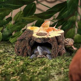 img 3 attached to Аксессуары Ktapes Платформа для рептилий Tortoise