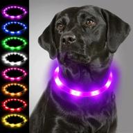 purple led dog collar - usb rechargeable light up for night safety, glowing in the dark | joytale логотип