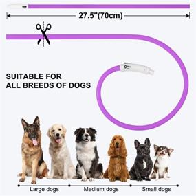img 2 attached to Purple LED Dog Collar - USB Rechargeable Light Up For Night Safety, Glowing In The Dark | Joytale