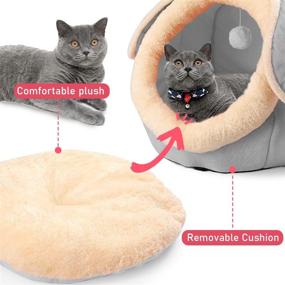 img 1 attached to LuiceABC Soft Lightweight Cat Bed: Washable Tent Furniture for Kittens and Cats