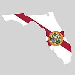 img 1 attached to Florida State Shaped Flag Sticker - Premium Vinyl Decal by FA Graphix - Ideal for FL Enthusiasts