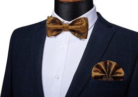 img 3 attached to 👔 Dressing to Impress: DiBanGu Bowtie Necktie Cufflink Set - The Ultimate Men's Accessories for Ties, Cummerbunds & Pocket Squares