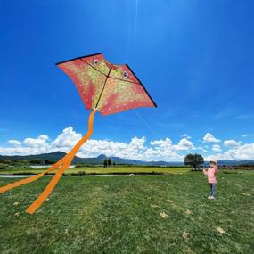 img 2 attached to Large Delta Kite For Beach Fun! Easy To Fly Single Line Kite With Handle - HONBO Ray Kite Ideal For Kids And Adults