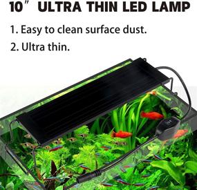 img 3 attached to 🐟 Enhance Your Aquatic Experience: Water Rebirth Aquarium Lights for Vibrant 10 Gallon Planted Tanks (LED, Switch Version)