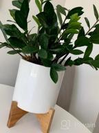 img 1 attached to Bamboo Plant Stand - Mid Century Modern Foldable Indoor Ceramic Pot/Planter Holder review by Chris Beals