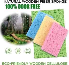 img 3 attached to 🧽 12 Pack of Compressed Cellulose Kitchen Sponges - Non-Scratch, Biodegradable, Natural Colorful Scrubbing Sponges for Dishes Cleaning - Fun DIY Sponge for Kids