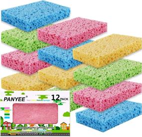 img 4 attached to 🧽 12 Pack of Compressed Cellulose Kitchen Sponges - Non-Scratch, Biodegradable, Natural Colorful Scrubbing Sponges for Dishes Cleaning - Fun DIY Sponge for Kids