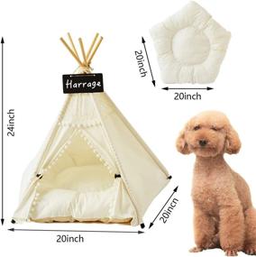 img 2 attached to Harrage Folding Indoor Dogs House: Portable Pet Teepee Tents for Small Dogs & Cats - 24inch Cute Puppy House with Cushion Bed