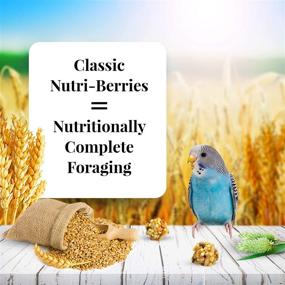 img 3 attached to 🐦 Lafeber Classic Nutri-Berries Pet Bird Food: Non-GMO & Human-Grade for Parakeets