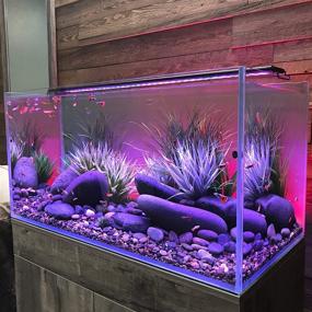 img 4 attached to 🐠 Enhance Your Aquatic Experience with CURRENT USA Serene Aquarium Kit: LED Lights, Wireless Remote & Speakers Included