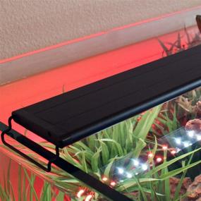 img 3 attached to 🐠 Enhance Your Aquatic Experience with CURRENT USA Serene Aquarium Kit: LED Lights, Wireless Remote & Speakers Included