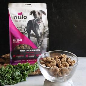 img 2 attached to Nulo Freeze Dried Raw Dog Food: Natural Beef Recipe With Apples & Ganedenbc30 Probiotics For All Ages & Breeds - 5 Oz Bag