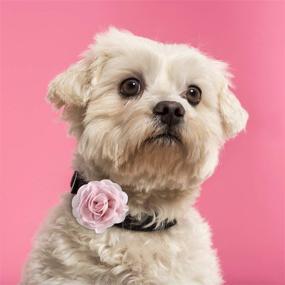 img 2 attached to 🌸 Leinuosen 20 Pieces Dog Collar Flowers Pet Bow Tie Flower Collars for Puppy Collar Grooming Accessories (8 cm, Pack of 20)