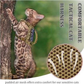 img 1 attached to 🐱 nanappice Tactical Cat Harness: Escape Proof Pet Vest for Walking - Adjustable, Comfy Mesh Padding, Quick-Release Buckle, Rubber Handle