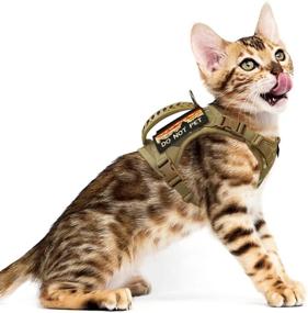 img 4 attached to 🐱 nanappice Tactical Cat Harness: Escape Proof Pet Vest for Walking - Adjustable, Comfy Mesh Padding, Quick-Release Buckle, Rubber Handle