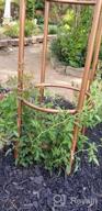 img 1 attached to Gardman R352 Black Garden Obelisk - 96" High For Elevated Garden Style review by Billy Dotie