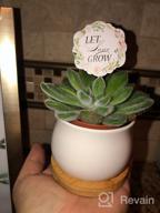 картинка 1 прикреплена к отзыву ZOUTOG 12 Pack Succulent Pots: Mini Ceramic Flower/Cactus Planters with Drainage Hole - Small pots for Plants (Plants Not Included) от John Caldwell