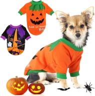 🎃 adorable pet pumpkin costume: bwogue dog halloween shirt for small dogs and cats - perfect funny t-shirt for halloween cosplay and holiday parties! логотип