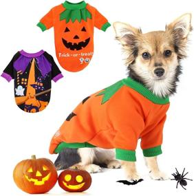 img 4 attached to 🎃 Adorable Pet Pumpkin Costume: BWOGUE Dog Halloween Shirt for Small Dogs and Cats - Perfect Funny T-Shirt for Halloween Cosplay and Holiday Parties!