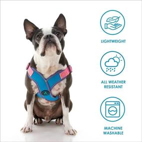img 1 attached to Gooby Comfort X Step In Harness V2 - Large, Turquoise(Pink) - No Pull Small Dog Harness Patented Adjusting Choke-Free X Frame - Perfect On The Go Dog Harness For Medium Dogs No Pull And Small Dogs