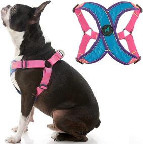 img 4 attached to Gooby Comfort X Step In Harness V2 - Large, Turquoise(Pink) - No Pull Small Dog Harness Patented Adjusting Choke-Free X Frame - Perfect On The Go Dog Harness For Medium Dogs No Pull And Small Dogs