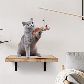 img 2 attached to 🐱 Large Cat Wall Shelves - Indoor Cat Wall Furniture with Sisal Scratching Mat / Faux Lamb Mat, Floating Wall Mounted Cat Climbing Shelf