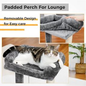 img 3 attached to PAWZ Road Cat Scratching Post and Pad: Soft Perch Sisal-Covered Scratch Posts and Pads with Play Ball - Perfect for Kittens and Cats