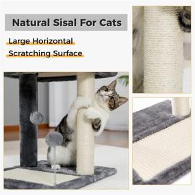 img 2 attached to PAWZ Road Cat Scratching Post and Pad: Soft Perch Sisal-Covered Scratch Posts and Pads with Play Ball - Perfect for Kittens and Cats