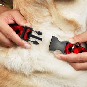 img 2 attached to Buckle Down Plastic Clip Collar Cats good for Collars, Harnesses & Leashes