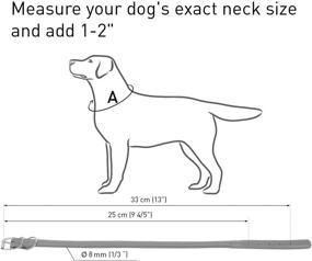 img 1 attached to 🐶 Премиум рулонный кожаный ошейник для собак: мягкий, стильный и регулируемый для маленьких, средних и крупных пород - для самцов и самок - Розовый Плюс (от 9 4/5" до 13" на шею)