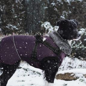 img 3 attached to Пурпурное пальто для собак со съемным ремнем, теплая зимняя одежда для маленьких, средних и крупных собак с пушистым воротником, водонепроницаемая и светоотражающая зимняя куртка для уютных прогулок на свежем воздухе