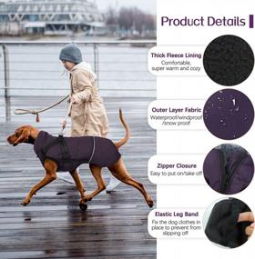 img 2 attached to Purple Dog Coat With Detachable Harness, Warm Winter Clothes For Small, Medium, And Large Dogs With Furry Collar, Waterproof And Reflective Snow Suit Jacket For Cozy Outdoor Hiking