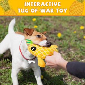 img 1 attached to 2-In-1 Plush Dog Chew Toys For Small To Large Dogs - PUPTECK Pineapple & Cactus Stuffed Squeaky Fetch & Tug Interactive Toy Set (2 Pack)